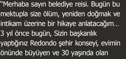 30 Yıldır Baktığı Ağaç Belediye Tarafından Kesilen Yaşlı Adamın İnanılmaz İntikamı