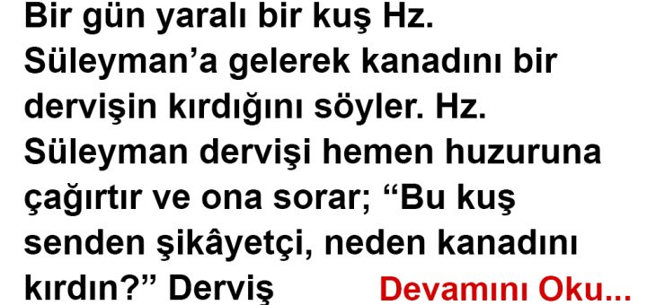 Yaralı Kuş ve Derviş