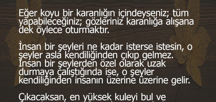 Japon Yazar Haruki Murakami Romanlarından Hayata Dair Düşündürücü 20 Alıntı