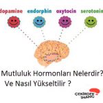 Mutluluk Hormonları Serotonin Nasıl Hissettirir