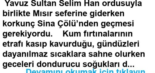 Sina Çölü