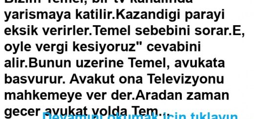 Televizyon Fıkrası