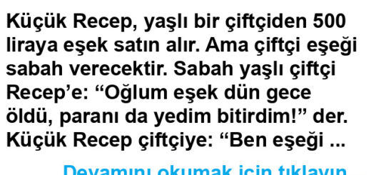 Eşeklerin Sırtından Para Kazanan Adam